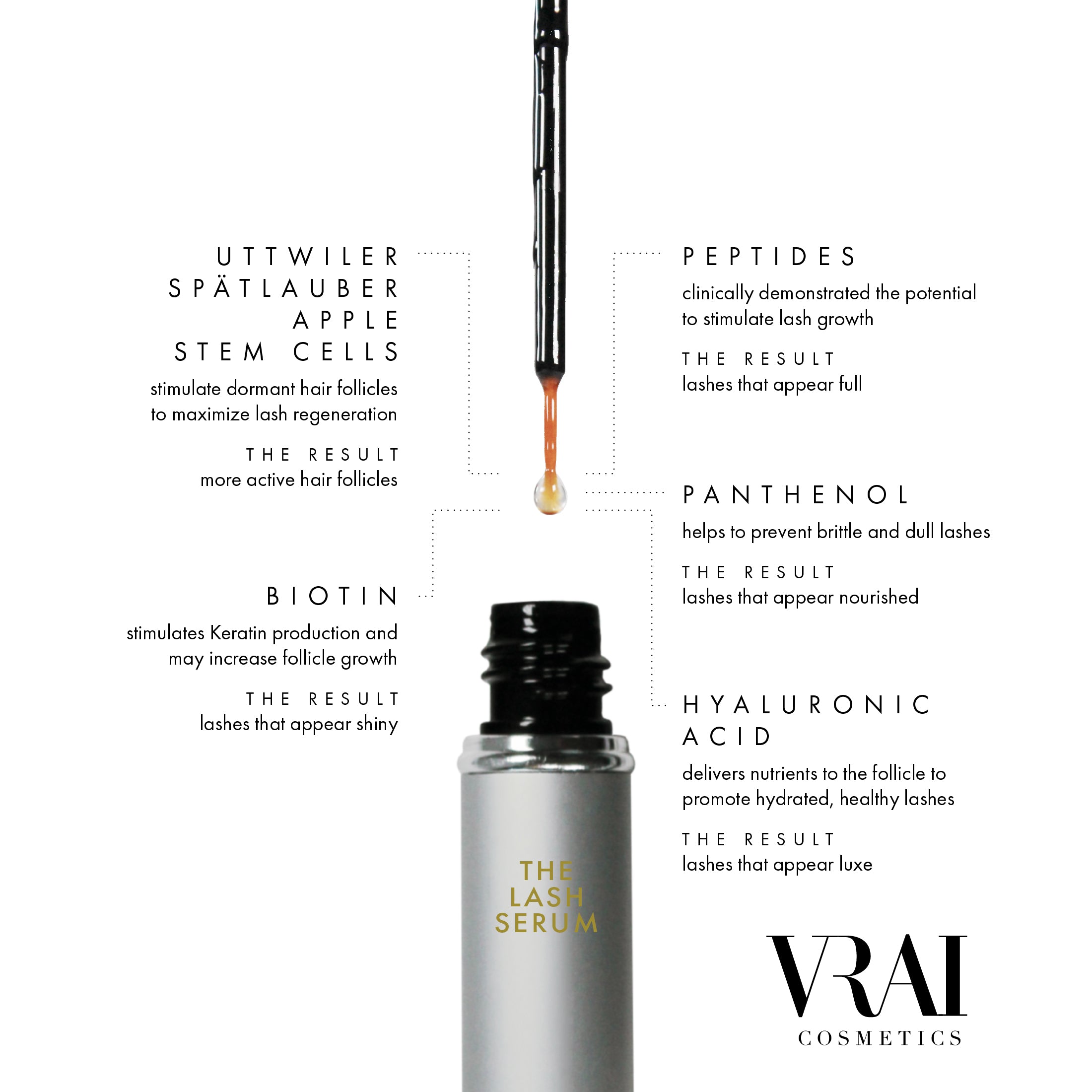 THE LASH & BROW SERUM